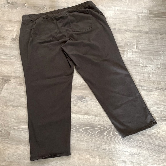 DEMOCRACY Ab solution Pants, Size 24W, Brown. - Picture 2 of 6